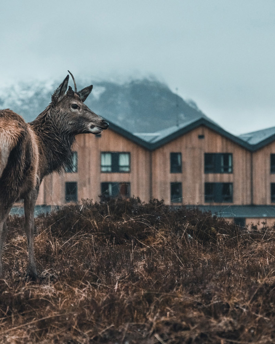 Kingshouse Hotel Offers