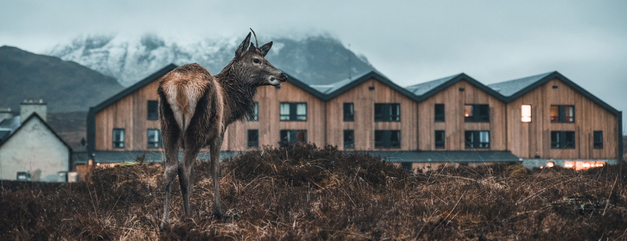 Kingshouse Hotel Offers